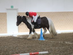 img_5953_web